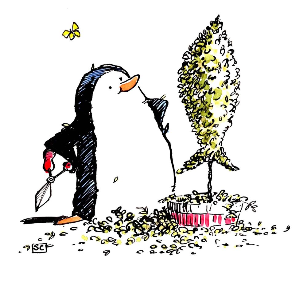 Funny Gardening Penguin Card Cartoon penguin with topiary fish. No caption