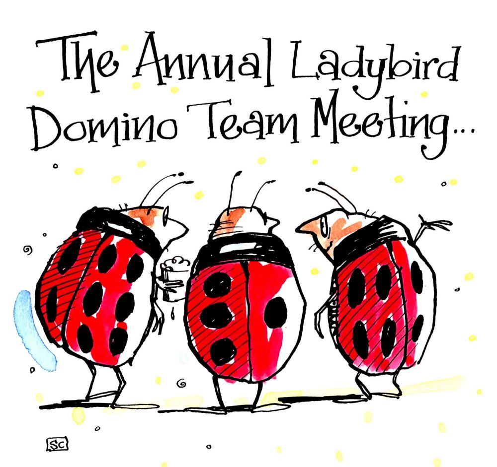 Funny Birthday card with 3 ladybirds with caption: The Annual Ladybird Domi