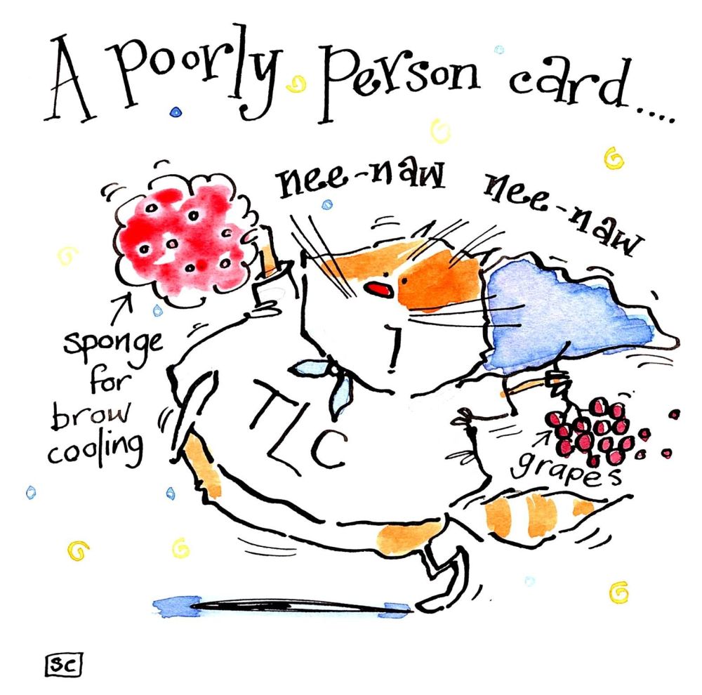 Get Well card with cartoon cat with TLC teeshirt carrying grapes and sponge