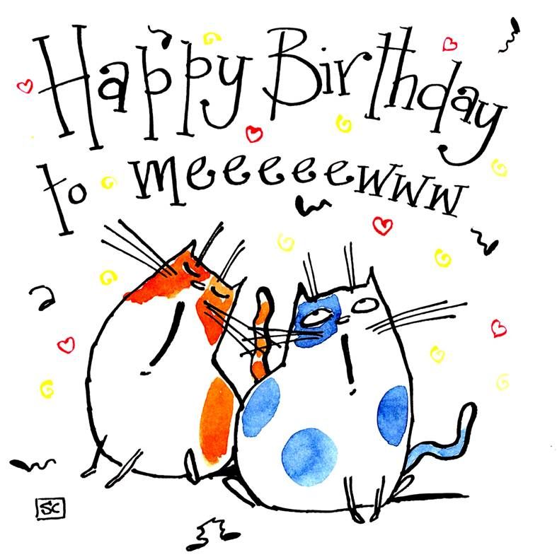                       Funny musical cartoon cats Birthday card with the cap