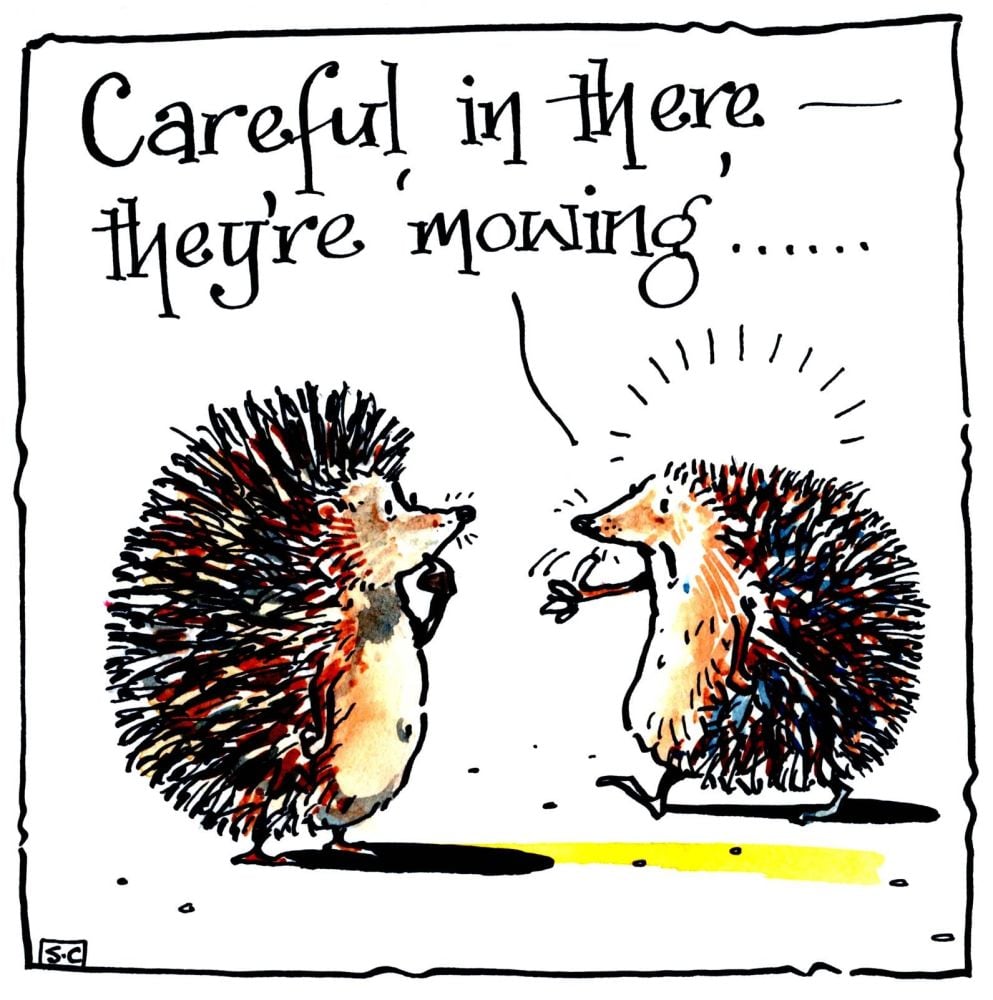 Funny greeting card with 2 hedgehogs, one has short prickles.Caption;Carefu