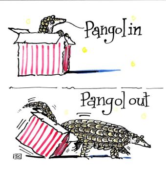Classic Pun Pangolin Pangolout  in Birthday card form.