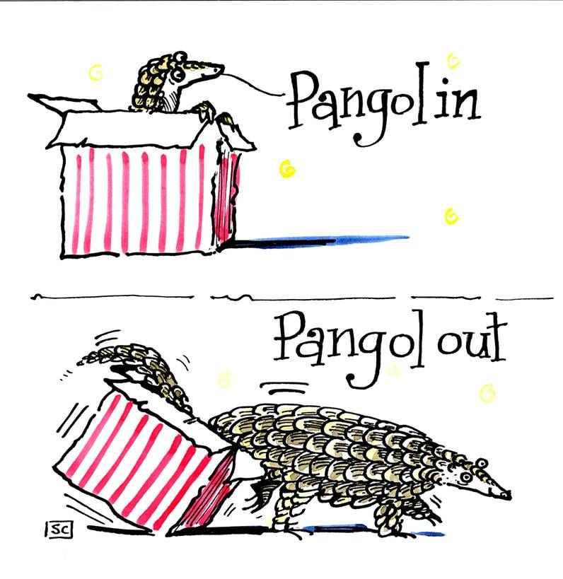 Greeting card with 2 pangolins. 1 in a box and one getting out. Caption:  P