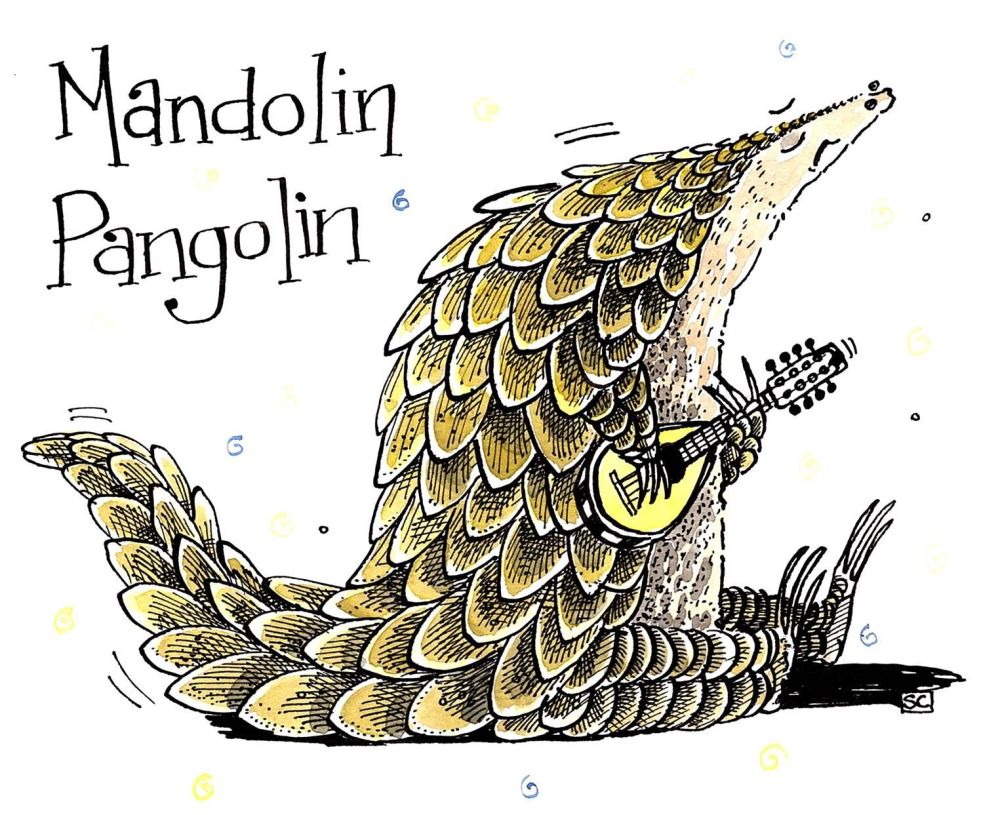 Greeting card with cartoon pangolin playing a mandolin with caption: Mandol