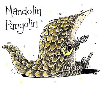 Mandolin,  Pangolin - Pangolin Lovers' Birthday - Anniversary - Get Well Card