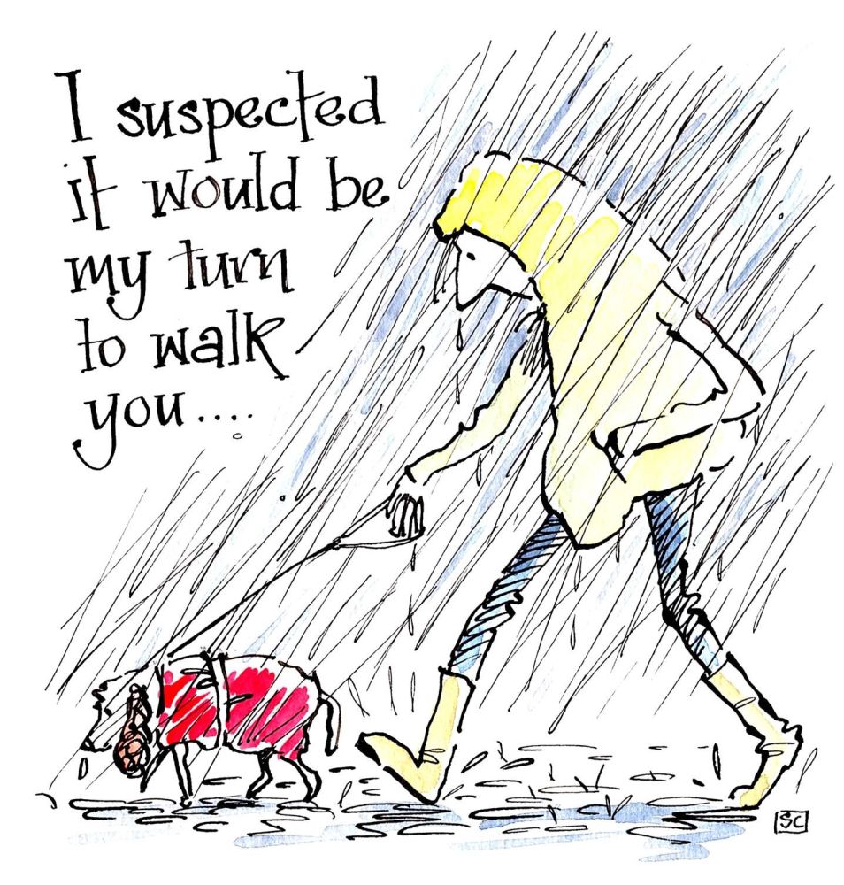 The Joy Of Dog Walking card with cartoon of person walking dog in tne rain.