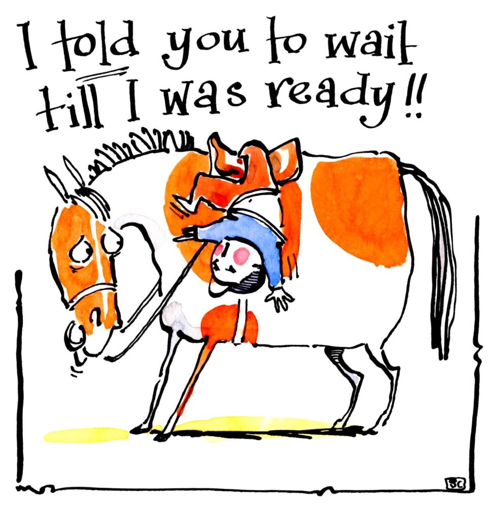 Horse Riding/Owning cartoon horse with rider falling and caption ' I told y