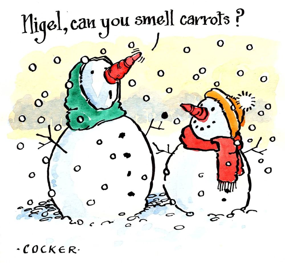 Xmas Card - Nigel Can You Smell Carrots - Snowman Christmas or Winter Greet