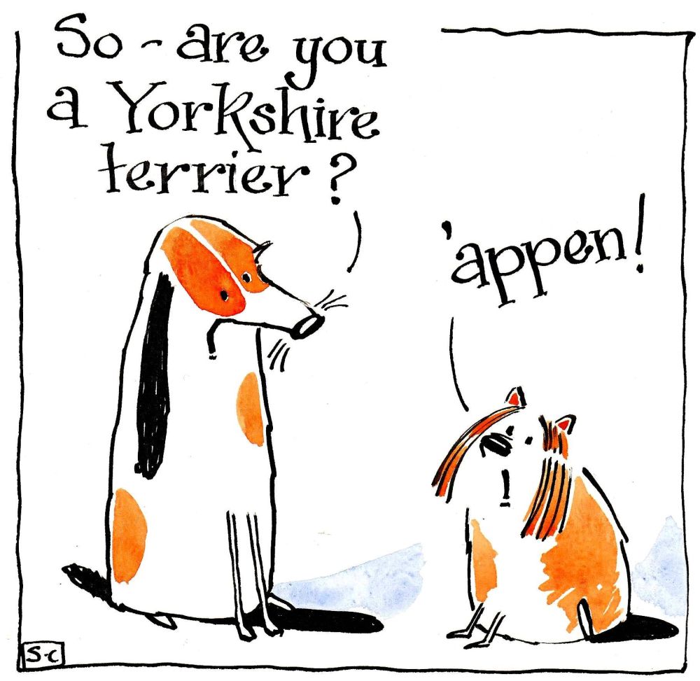 Yorkshire Birthday & Multipurpose Card  - with Yorkshire Terri