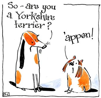 Yorkshire Birthday & Multipurpose Card  - Are You A Yorkshire Terrier?