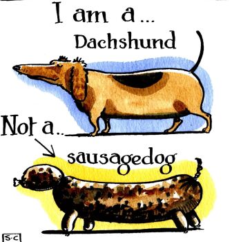 Birthday & General Card - But I Am A Dachshund Not A Sausage Dog