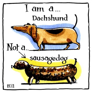 Birthday & General Card - But I Am A Dachshund Not A Sausage Dog