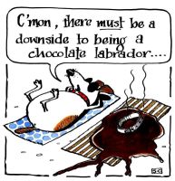 Chocolate Labrador Card - Birthday,  Retirement, Congratulations