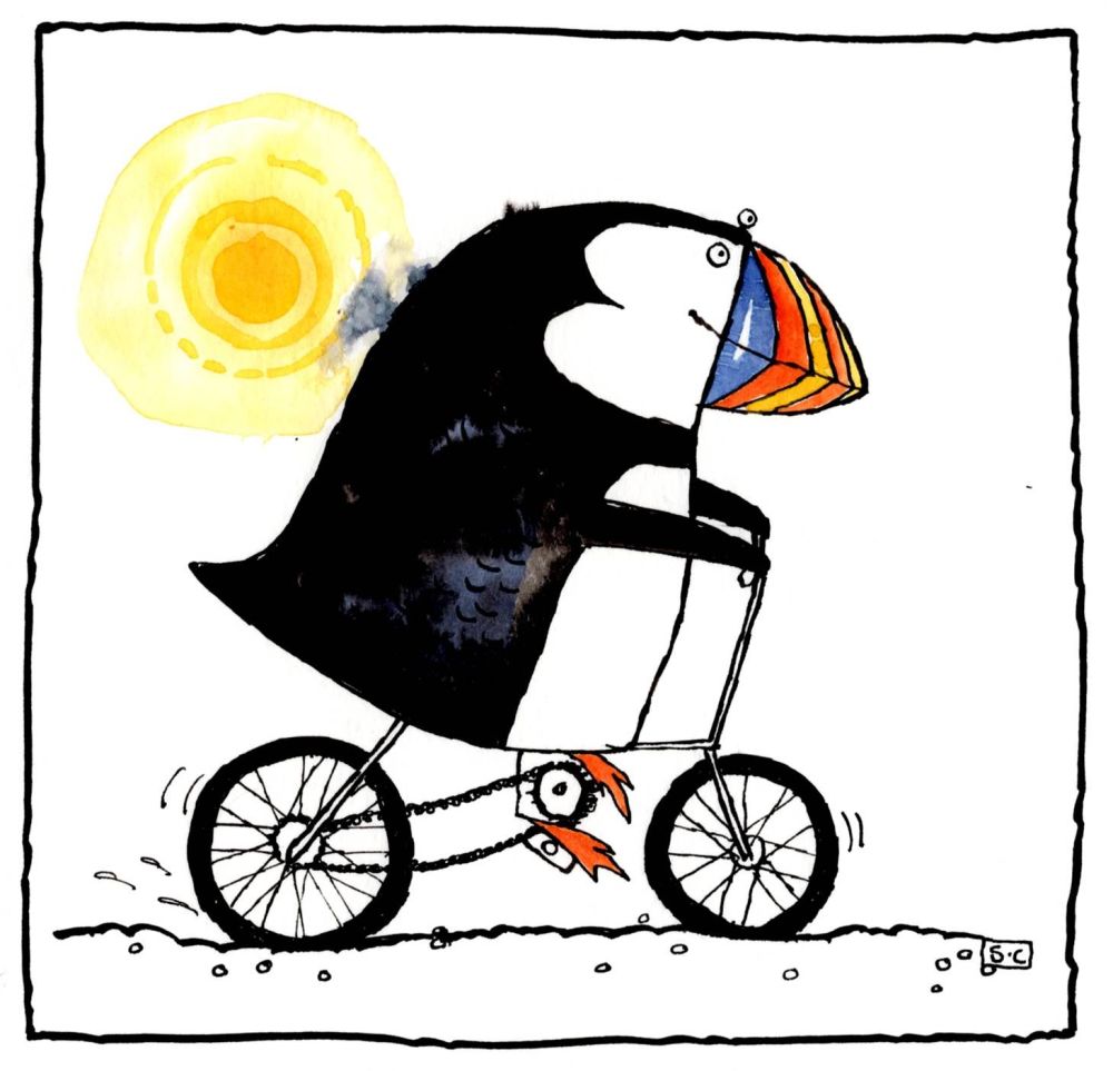 Puffin on a bicycle greeting card