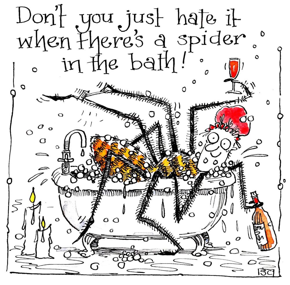 A Spider in the Bath - Card Suitable For All Occasions - Girly Card