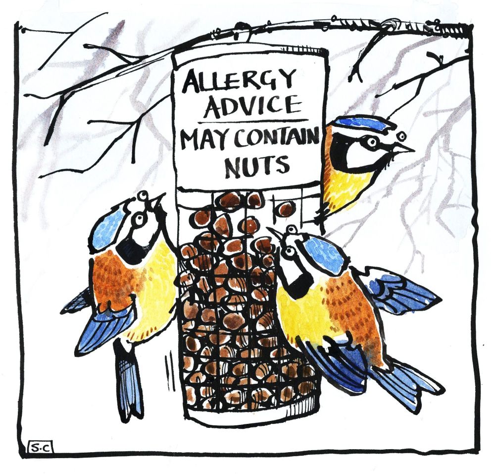 Card with 3 birds on a bird feeder .Caption: Allergy Advice - May Contain N