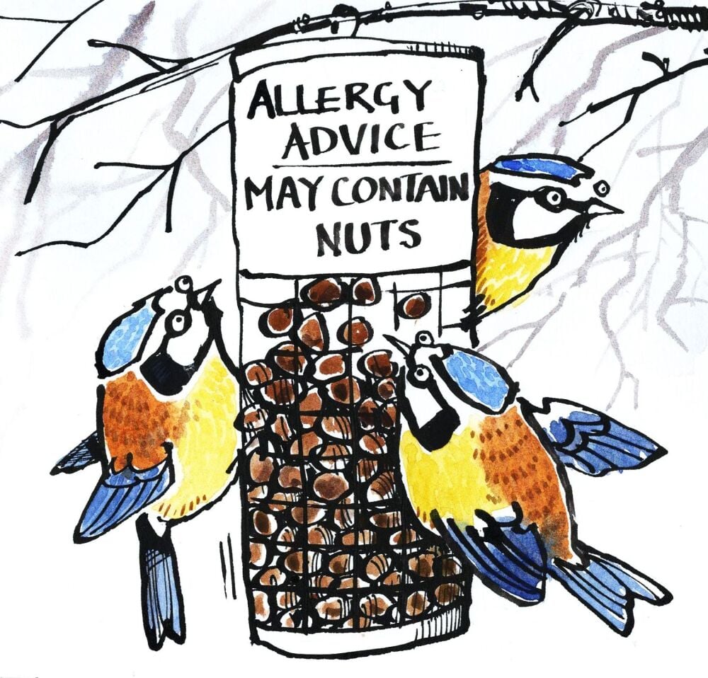 Card with 3 birds on a bird feeder .Caption: Allergy Advice - May Contain N