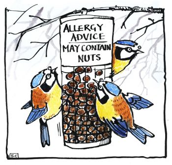 Allergy Advice Card - Well, you can't be too careful.