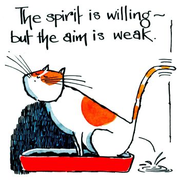 AHHH The Spirit Is Willing - A Cat Lover's Card For All Occasions