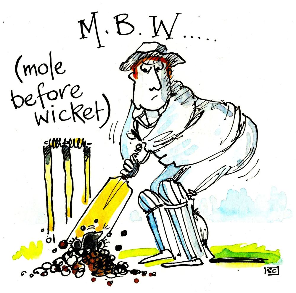 Greeting card. Cricketer poised to bat but mole appears. Caption Mole Befor