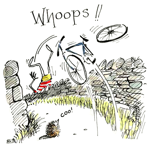 Funny Cycling Mishap Greeting Card - Birthday, Get Well, Congratulations