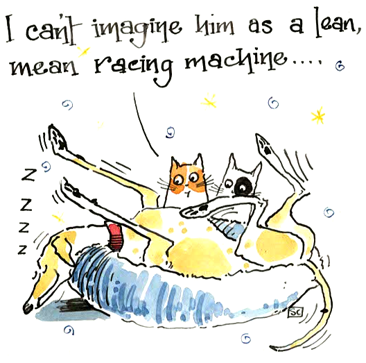 Greyhound Racing Birthday Card with cats