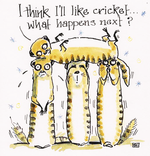 Meerkats Play Cricket - Birthday, Congratulations, Well Done