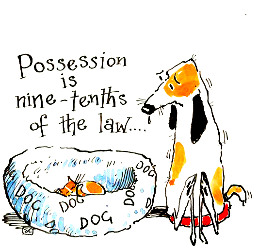 Possession Is Nine Tenths Of The Law - Cat & Dog In Perfect Harmony tiny ca