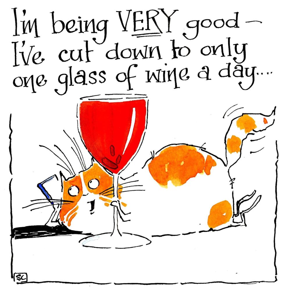 Cartoon cat with outsize glas of red wine. Caption I'm being very good - i'
