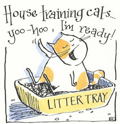 Cartoon cat in litter tray. Caption - I'm Ready