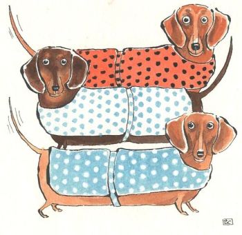 A Trio of Dachshunds Card - The Gorgeousness Of Dachshunds
