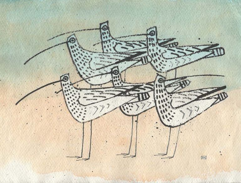 Curlews - At The Beach - Original Art - Drawings