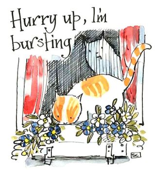 Ahh The Truth About Cats & Window Boxes - A card suitable for all occasions