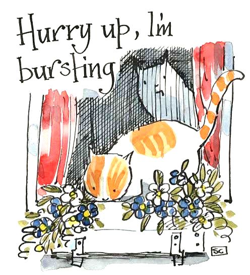 Cat Humour Cards - Quirky - Funny - Cute