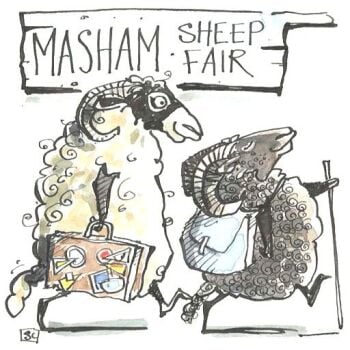 Masham Sheep Fair - Reserved