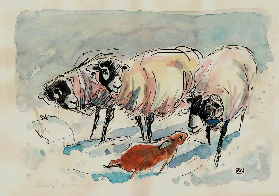sheep and hare original drawing 