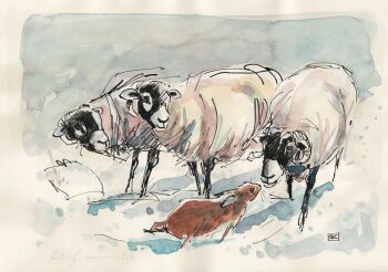 Swaledale Sheep & Hare Original Drawing  -  Brief Encounter