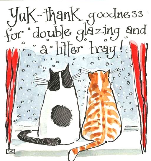  A Card with cats looking out on a snowy scene saying 'Thank goodness for d