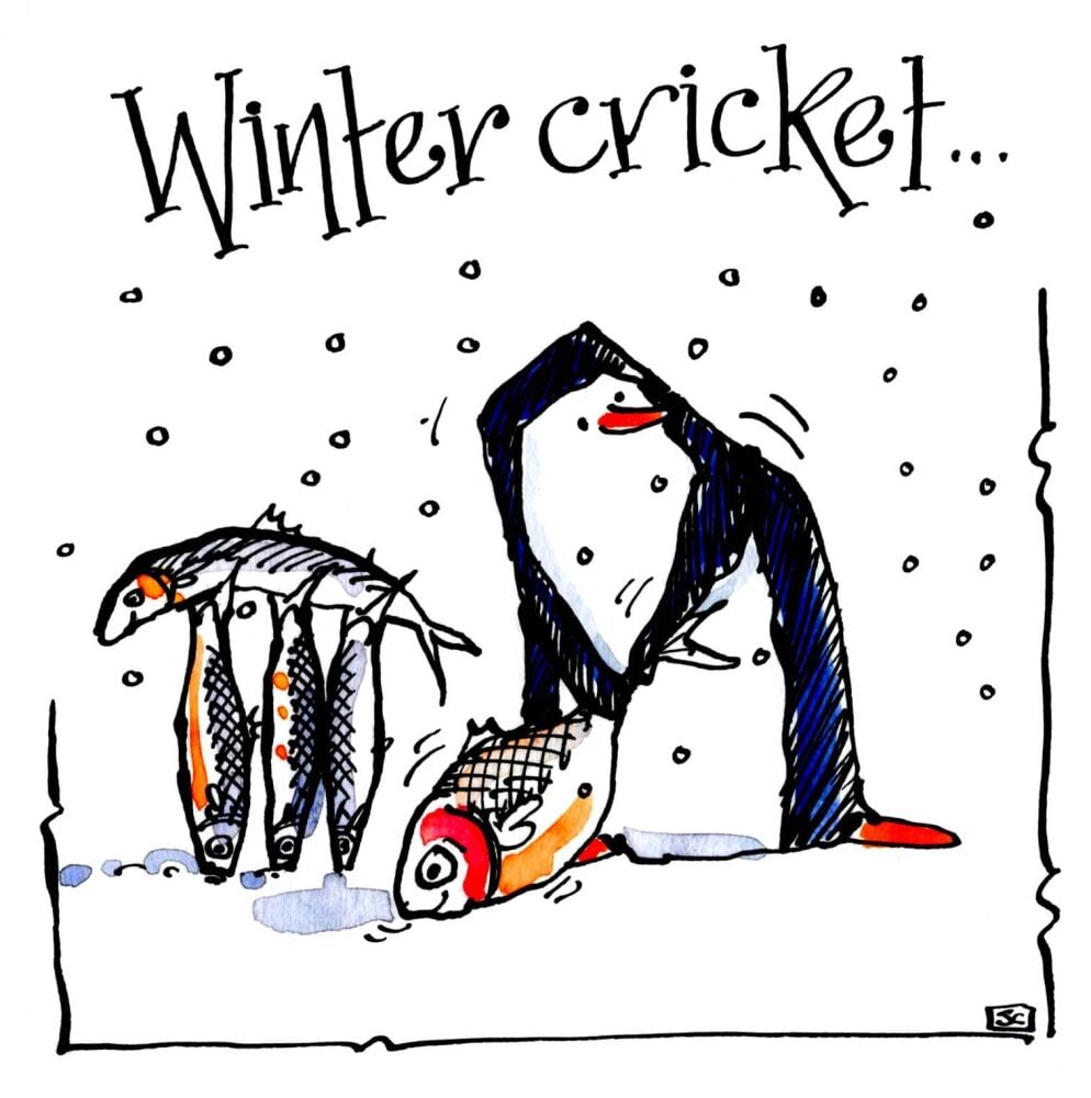 <!--007-->Cricket Themed Christmas Card - A Cricketer's Xmas Wish featuring