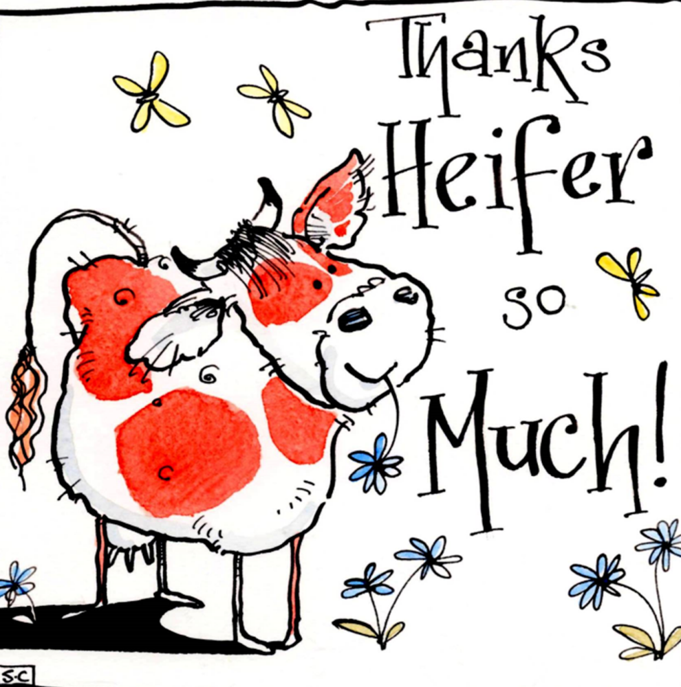 Thank You Card - Thanks Heifer So Much cow themed card