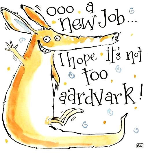 New Job Card - Aardvark