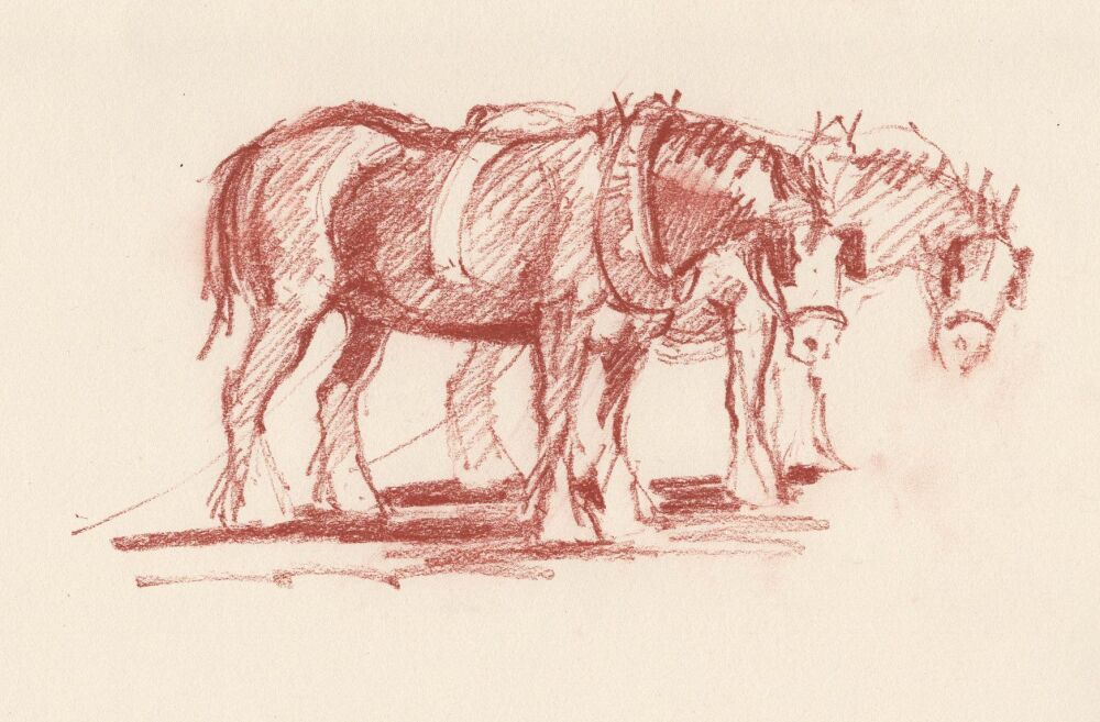 Working Horses - Team Work
