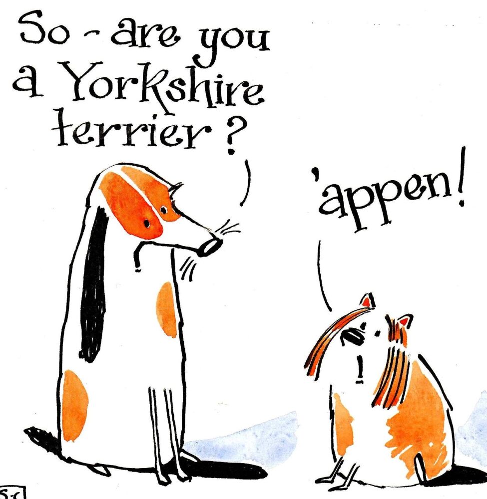 <!00200>Yorkshire Birthday & Multipurpose Card  - Are You A Yorkshire Terri