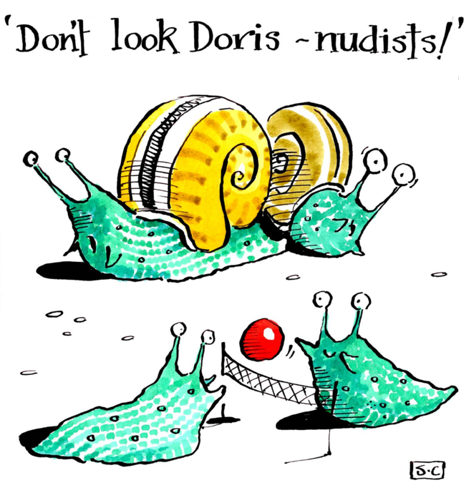 Birthday for Nudists? - Don't Look Doris - Volley Ball