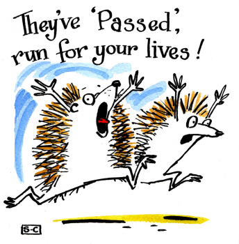 Driving Test Pass Card - They've Passed
