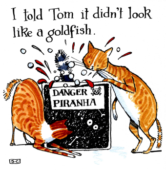 Piranha