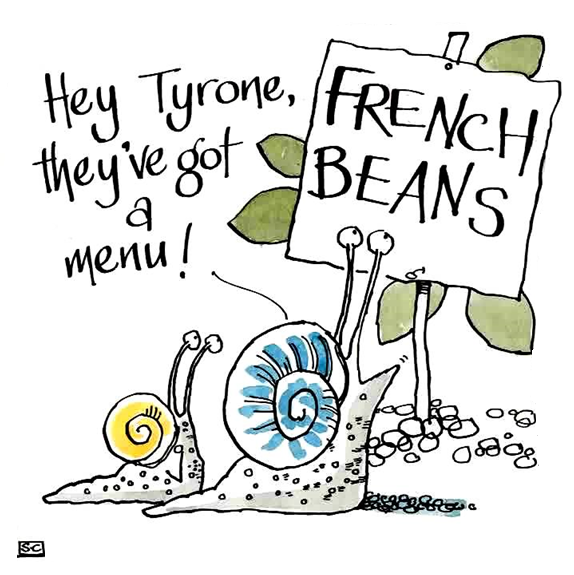 Gardeners' Delight  French Beans - Ideal Gardeners Birthday or Congratulati