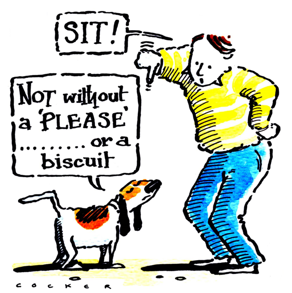 A Please Or A Biscuit dog training birthday card