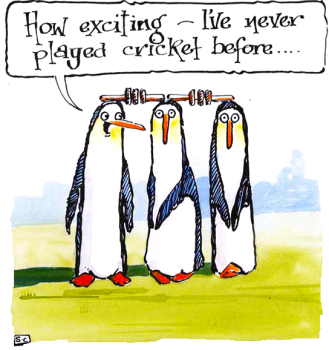 Cricket Birthday Card - with added penguins - it's just the wicket!
