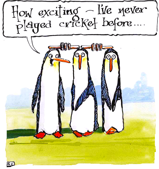 Cricket Birthday Card - with added penguins - it's just the wicket!
